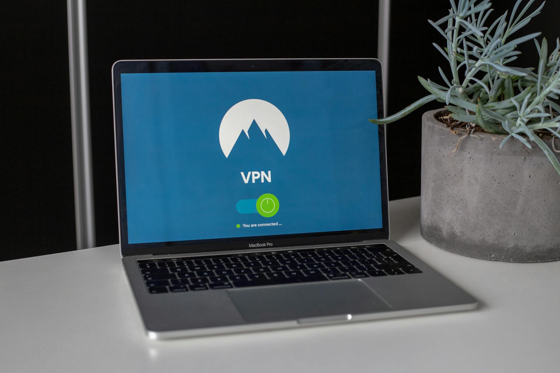 Laptop z ekranem VPN na biurku obok sukulenta, symbol ochrony prywatności